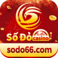 Số đỏ bet