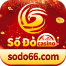 Số đỏ bet