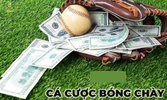 Kèo chẵn lẻ trong cá cược bóng chày có tỷ lệ thắng cược cao