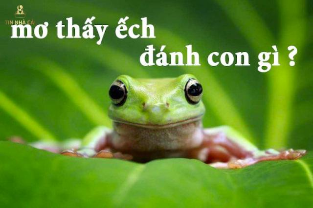 Mơ Thấy Ếch Là Điềm Báo Tốt Hay Xấu? Nên Đánh Con Gì? 7 Con ếch số mấy?Mơ thấy ếch nên đánh con gì?