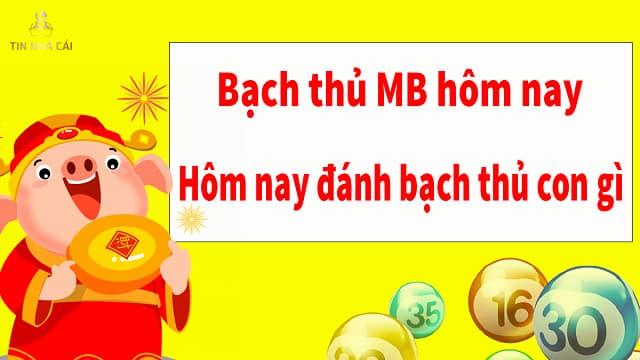 Bạch thủ lô hôm nay đánh gì?