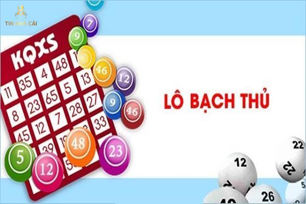 bạch thủ lô là gì bạch thủ lô là gì