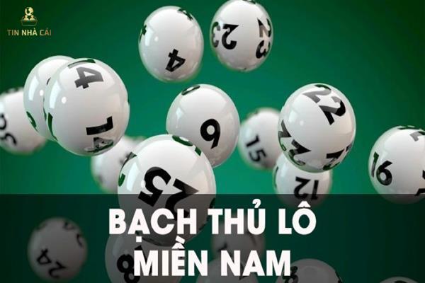 bạch thủ lô là gì bạch thủ lô là gì