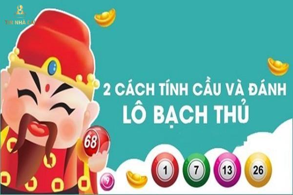 bạch thủ lô là gì bạch thủ lô là gì