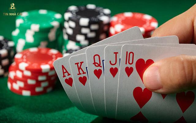 Fish Trong Poker Là Gì? #5 Cách Nhận Diện Khi Gặp Fish 7 Cách nhận diện khi gặp fish