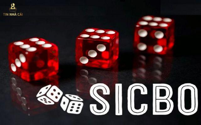 Chia sẻ mẹo chơi xí ngầu tài xỉu cho tân thủ