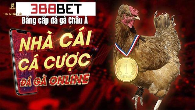 388bet lừa đảo - Chuyên gia đi tìm sự thật 7 Đối thủ cạnh tranh tung tin 388 lừa đảo