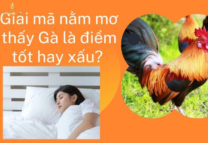 Con Gà Số Mấy? Mộng Thấy Gà Hung Hay Lành? 6 Giải mã giấc mơ con gà số mấy