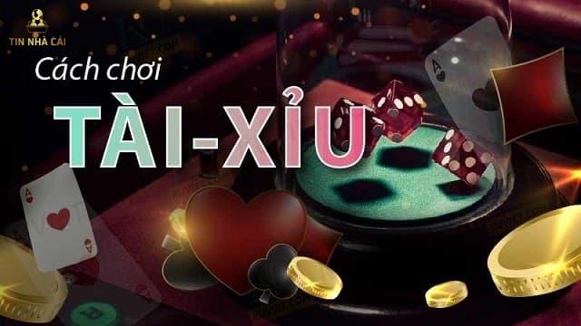 Khám phá các cửa cược