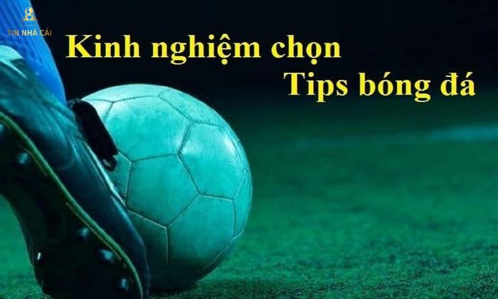 tip bóng đá là gì