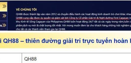 Tin nhà cái City | Đánh giá nhà cái có thực sự công tâm?